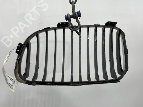 Used Grille BMW 1 (E87) 120 d (177 hp) 20387743