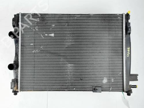 Used Water radiator NISSAN QASHQAI I (J10, NJ10) 1.5 dCi (110 hp) 30363907