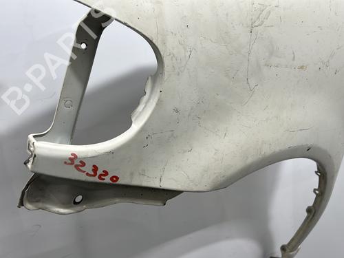 Left front fenders FORD TOURNEO CONNECT / GRAND TOURNEO CONNECT V761 MPV (SK)  | BP29375276C41 