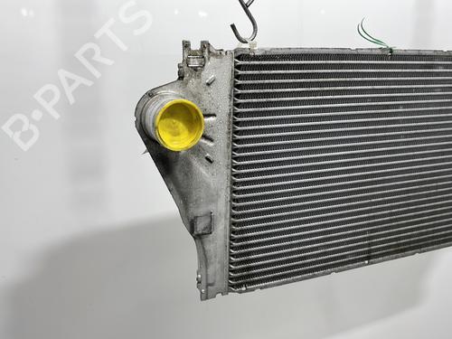 Intercooler RENAULT VEL SATIS (BJ0_) 2.0 16V Turbo (BJ0K) | BP29976499M30