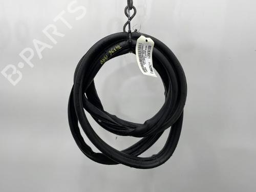 Used Rubber door seal RENAULT SCÉNIC II (JM0/1_) 1.9 dCi (JM14) (131 hp) 20439260