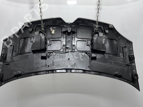 Hood RENAULT TWINGO III (BCM_, BCA_) 1.0 SCe 70 | BP24654044C1 