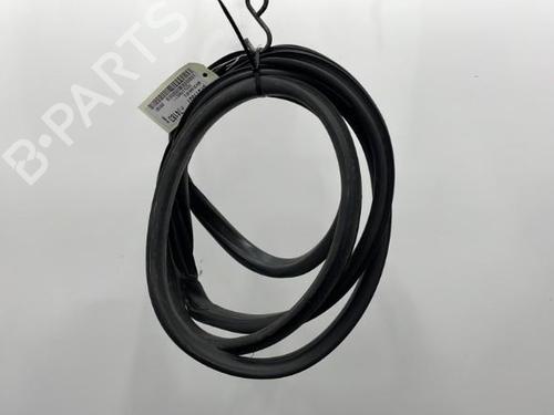 Gummiliste FORD FIESTA VI (CB1, CCN) 1.0 EcoBoost (100 hp) 20419662