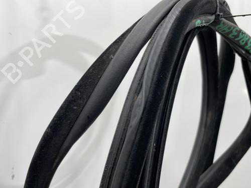 Gummiliste BMW X5 (E53) 3.0 d | BP26964411C142 - Image 3