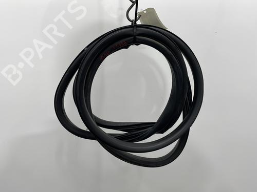 Used Rubber door seal RENAULT SCÉNIC III (JZ0/1_) 1.9 dCi (JZ0J, JZ1J, JZ1K, JZ1S) (131 hp) 26532527