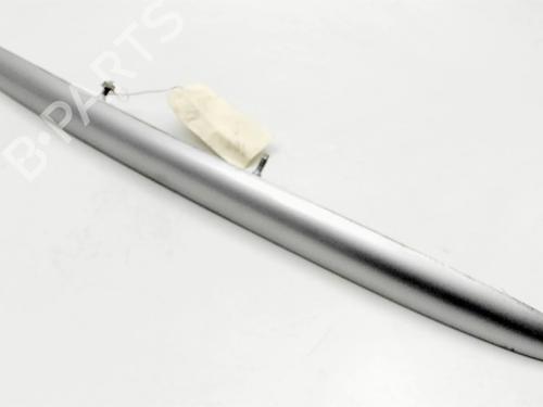 Tailgate trim PEUGEOT 206 Hatchback (2A/C) 1.4 HDi eco 70 | BP29625252C151 