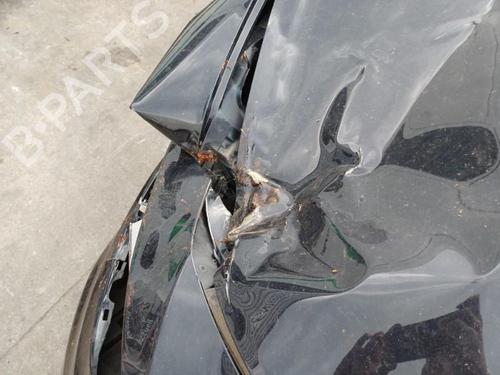 Left sun visor FIAT TIPO Hatchback (356_, 357_) 1.4 (356HXA1B, 357) | BP32149649I1 - Image 14