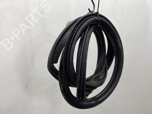 Rubber door seal RENAULT CLIO III (BR0/1, CR0/1) 1.5 dCi | BP23778445C142 
