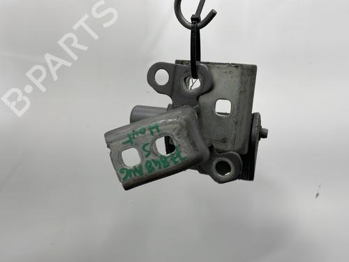 Hinge/Door check strap RENAULT CLIO III (BR0/1, CR0/1) 1.2 16V Hi-Flex (BR1U, CR1U) | BP29338441C146 