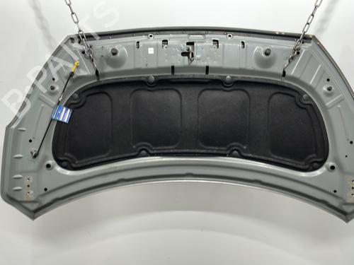 Capot Capot HYUNDAI i20 I (PB, PBT) 1.1 CRDi (75 hp) 30329563 30329563
