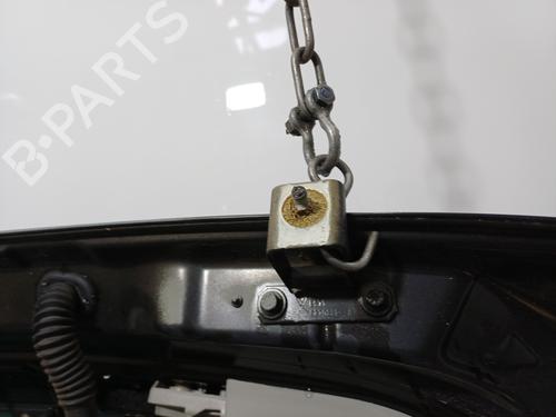 Used Tailgate Tailgate RENAULT SCÉNIC III (JZ0/1_) 1.9 dCi (JZ0J, JZ1J, JZ1K, JZ1S) (131 hp) 36526331 36526331