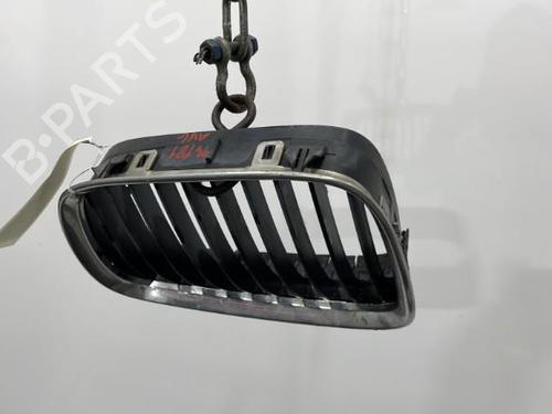 Used Grille BMW 5 (E39) 525 tds (143 hp) 20438887