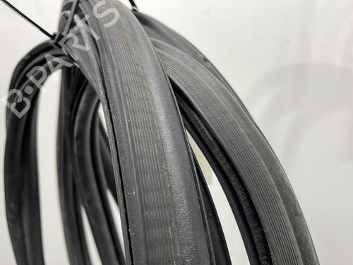 rubber-door-seal-renault-laguna-ii-bg01_-2001-2002-2003-2004-2005-2006-2007-23778254 main image