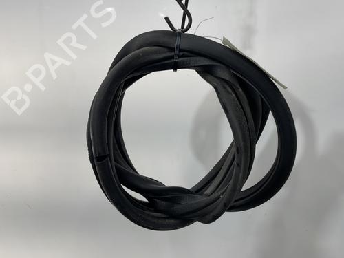 Gummiliste CITROËN AX (ZA-_) 10 (44 hp) 31053328