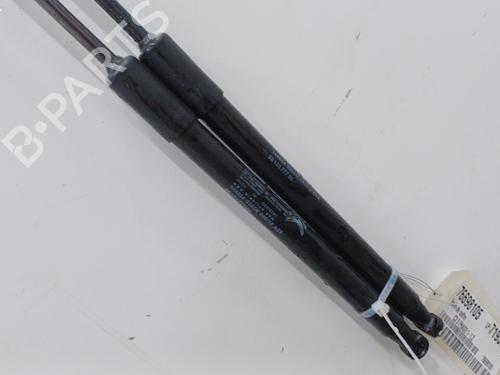 Tailgate lift support CITROËN C3 / C3 ORIGIN III (SX) 1.2 VTi 82 | BP20404905C138 
