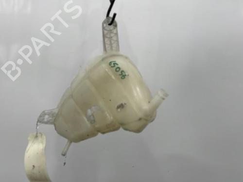Used Expansion tank NISSAN NV200 Van 1.5 dCi 85 (M20, M20N, M20M) (86 hp) 20389861