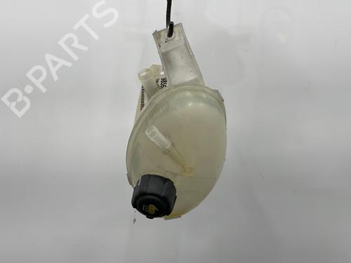 Used Expansion tank OPEL MOVANO B Van (X62) 2.3 CDTI FWD (FV) (125 hp) 22564156