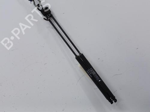 Tailgate lift support FIAT BRAVO II (198_) 1.9 D Multijet (198AXB1A) | BP20446403C138 