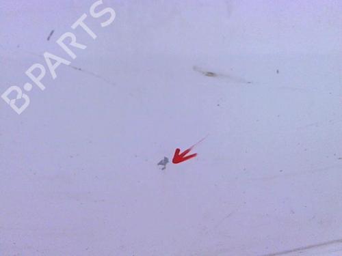 Left front door PEUGEOT EXPERT Van (222) 1.9 TD | BP20415932C2 