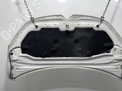 Hood CITROËN C3 III (SX) 1.5 BlueHDi 100 (SXYHYP, SXYHTU) | BP32428783C1