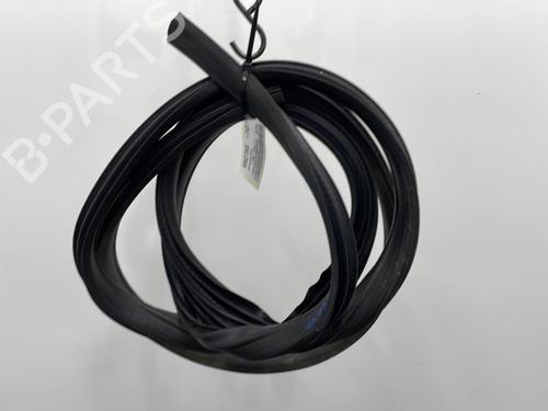 Used Rubber door seal FORD S-MAX (WA6) 2.0 TDCi (130 hp) 20418160
