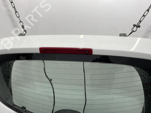Tailgate RENAULT CLIO III (BR0/1, CR0/1) 1.5 dCi (C/BR0G, C/BR1G) | BP29437971C6 