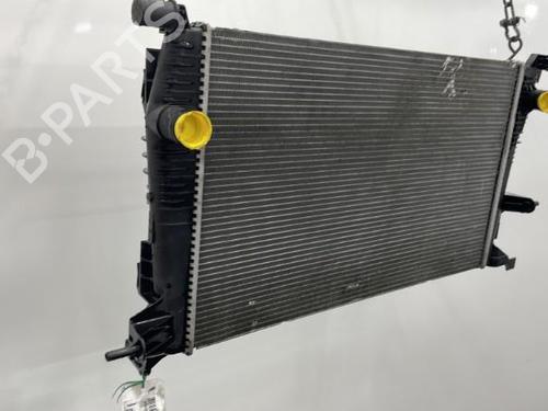 Køler RENAULT SCÉNIC III (JZ0/1_) 1.5 dCi (106 hp) 20416955