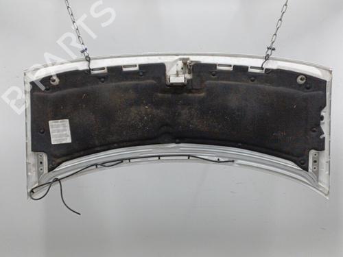 Used Hood Hood FIAT SCUDO Van (220_) 1.9 D (69 hp) 20424064 20424064