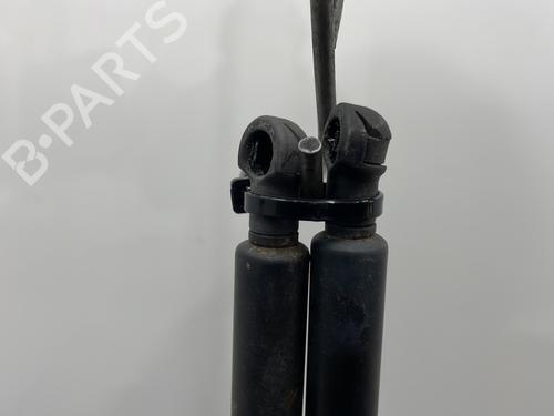 Hood lift support BMW 3 Coupe (E92) 330 xd | BP25732409C139 