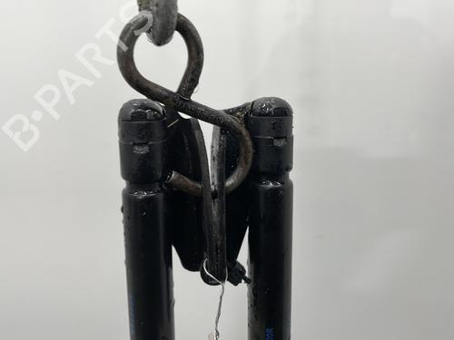 tailgate-lift-support-nissan-juke-f16_-2019-24057421 main image