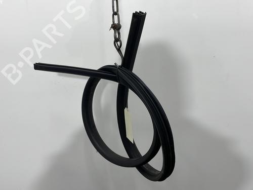 Rubber door seal RENAULT MEGANE CC (EZ0/1_) 1.9 dCi (EZ0J, EZ1S) | BP31126839C142