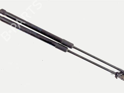 Tailgate lift support VW POLO V (6R1, 6C1) 1.4 TDI | BP20469830C138 