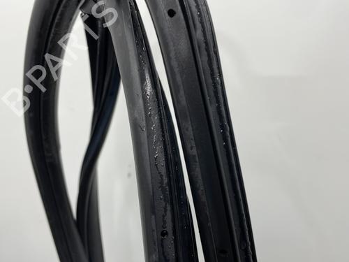 Rubber door seal FIAT GRANDE PUNTO (199_) 1.3 D Multijet | BP23780370C142 