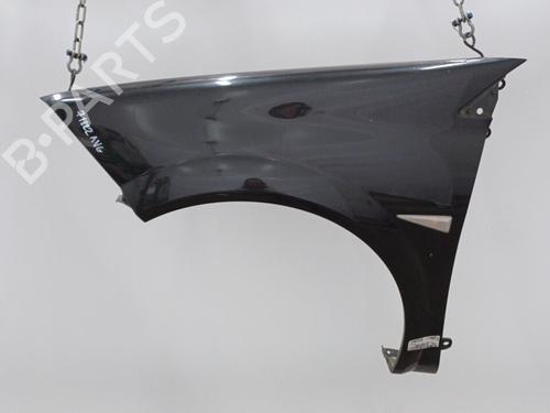 Left front fenders RENAULT MEGANE II Estate (KM0/1_) 1.5 dCi (KM1F) | BP20468726C41 