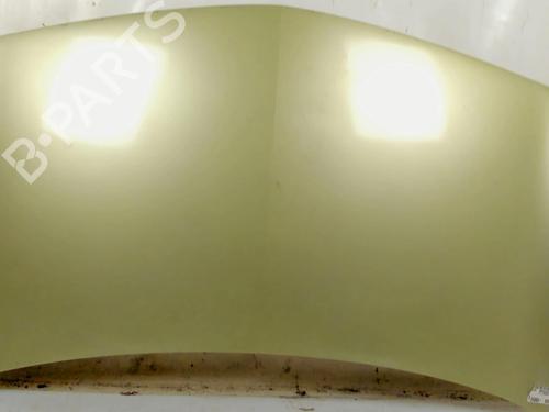 Hood RENAULT MEGANE II (BM0/1_, CM0/1_) 1.5 dCi (BM0F, BM0T, BM2B, CM0F, CM0T) | BP20443046C1 