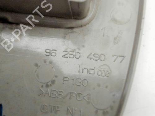 Interior roof light PEUGEOT 206 Hatchback (2A/C) 1.4 HDi eco 70 | BP29213053I8 