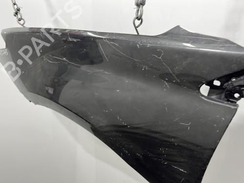 Left front fenders RENAULT LAGUNA III (BT0/1) 2.0 dCi (BT07, BT0J, BT14, BT1A, BT1S) | BP20406699C41 