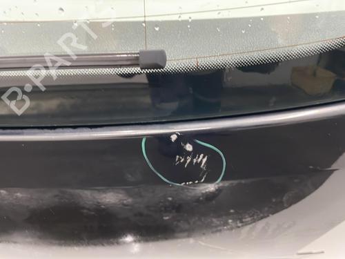 Tailgate VW POLO V (6R1, 6C1) 1.0 | BP20438236C6 