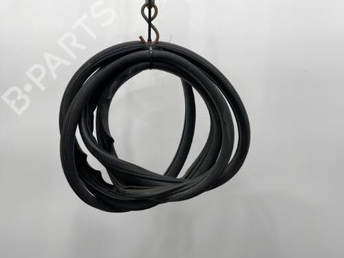 Used Rubber door seal RENAULT SCÉNIC II (JM0/1_) 1.5 dCi (JM1E, JM16) (106 hp) 20439250