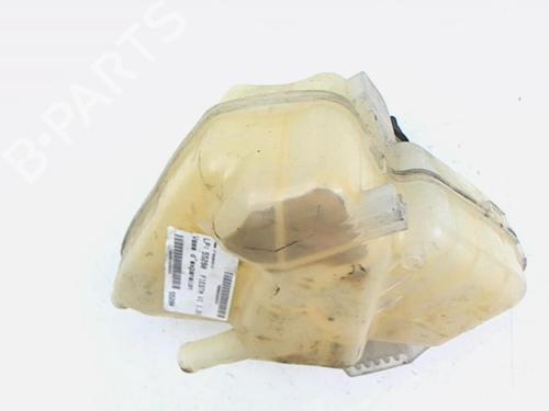 Expansion tank FORD FIESTA VI (CB1, CCN) 1.25 | BP20449191C120 