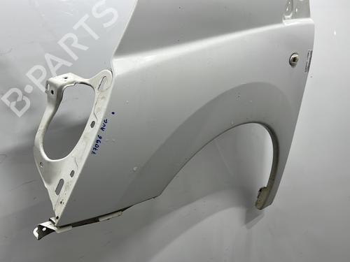 Left front fenders CITROËN JUMPY II Van 2.0 HDi 120 | BP30161779C41