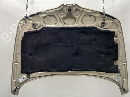 Hood RENAULT LAGUNA I (B56_, 556_) 1.9 dCi (B56W) | BP25404978C1