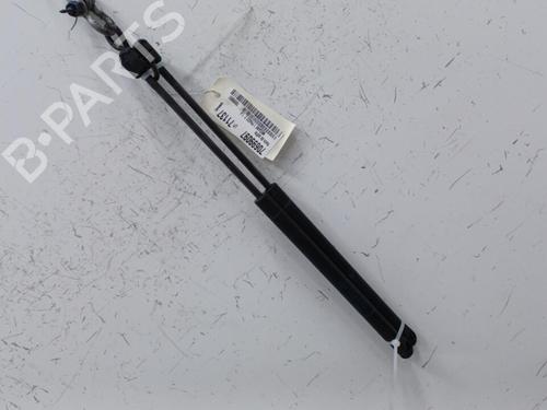 Used Tailgate lift support RENAULT MEGANE I (BA0/1_) 1.4 16V (BA0D, BA1H, BA0W, BA10) (95 hp) 21237543