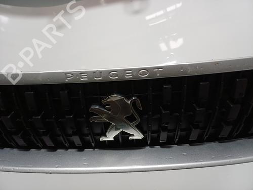 Grill PEUGEOT EXPERT Van (V_) 1.6 BlueHDi 115 | BP34458982C40 - Image 6