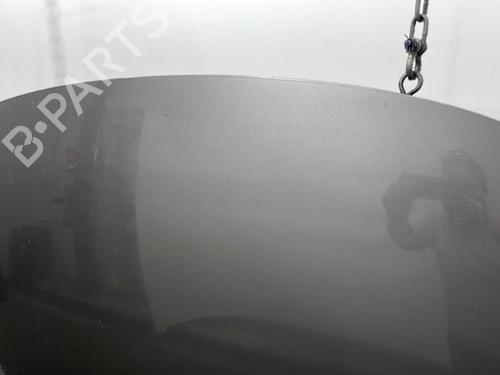Hood RENAULT SCÉNIC III (JZ0/1_) 1.5 dCi | BP20397369C1