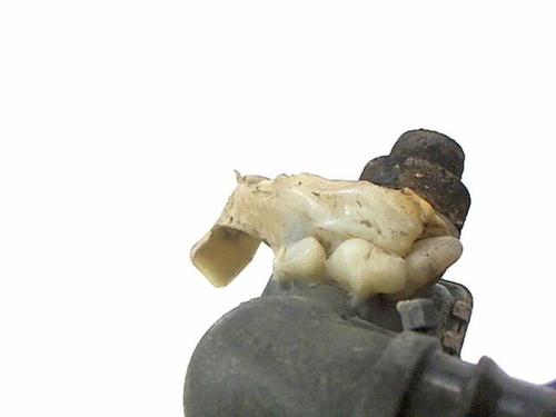 Køler FIAT PANDA (169_) 1.3 D Multijet (169AXG1A, 169AXD1A) | BP20474978M31 