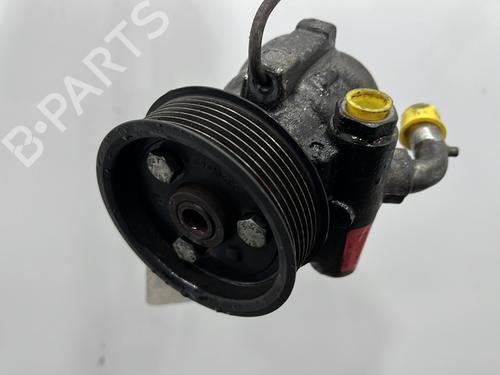 Steering pump IVECO DAILY IV Van 35C12 V, 35C12 V/P, 35S12 V, 35S12 V/P | BP29604008M99 