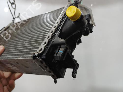 Intercooler RENAULT CLIO V (B7_) 1.5 Blue dCi 115 (B7AD) | BP39229086M30 - Image 7