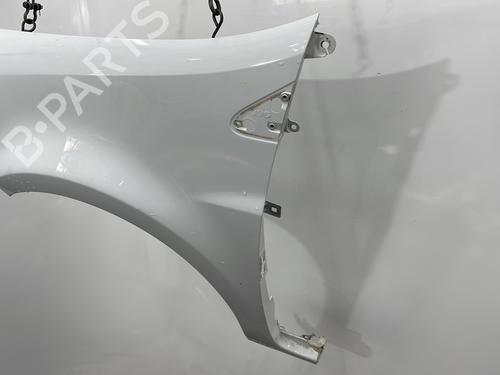Left front fenders RENAULT CLIO III (BR0/1, CR0/1) 1.5 dCi (C/BR0G, C/BR1G) | BP29437970C41 