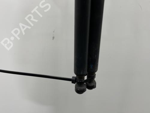 Tailgate lift support FIAT PANDA (169_) 1.2 (169.AXB11, 169.AXB1A) | BP27187041C138 